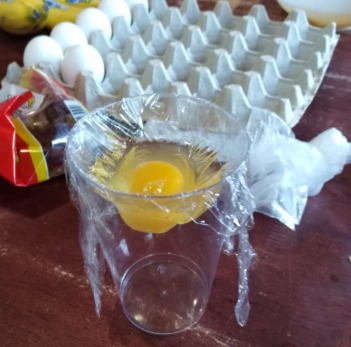 Cup egg