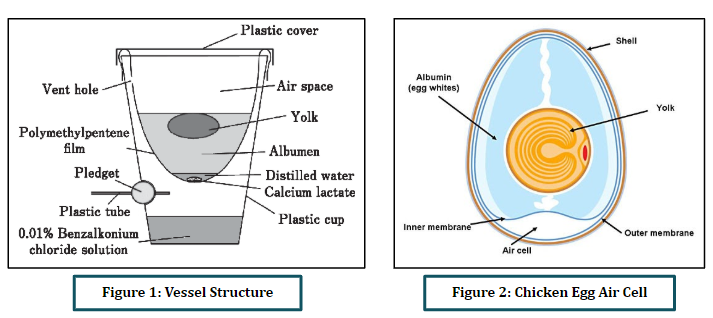 Capstone egg method picture