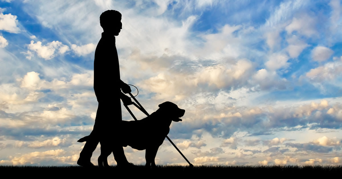 Legally blind person dog clouds 1200x630